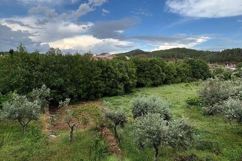 Terra a Castelo Branco, Castelo Branco, Castelo Branco - € 7.000 | Ref: 921143 - foto 5