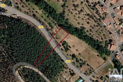Terra a Castelo Branco, Castelo Branco, Castelo Branco - € 7.000 | Ref: 921143 - foto 6