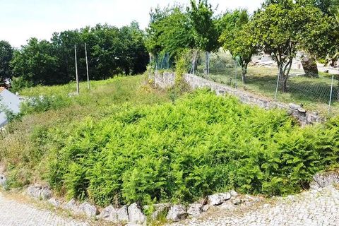 Terra a Barcelos, Braga, Barcelos - € 67.500 | Ref: 919350 - foto 4