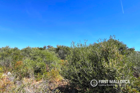 Terra a Cala d'Or, Mallorca, Cala d'Or - € 560.000 | Ref: 83805 - foto 3