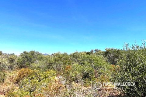 Terra a Cala d'Or, Mallorca, Cala d'Or - € 560.000 | Ref: 83805 - foto 4