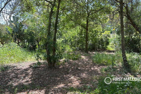 Byhus i Sencelles, Mallorca, Sencelles - € 795.000 | Ref: 83833 - foto 9