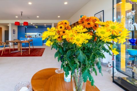 Villa a Alcobaca, Leiria, Alcobaca - € 735.000 | Ref: 047/2026.AD - foto 7