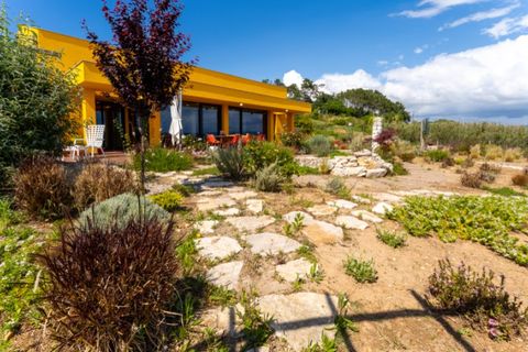 Villa a Alcobaca, Leiria, Alcobaca - € 735.000 | Ref: 047/2026.AD - foto 34