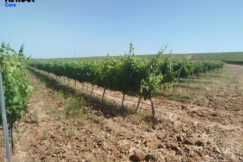 Tomt i Badajoz, Badajoz, Badajoz - € 880 000 | Ref: 2026-131/12527 - foto 6