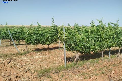 Tomt i Badajoz, Badajoz, Badajoz - € 880 000 | Ref: 2026-131/12527 - foto 8