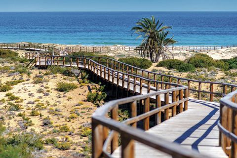 Lejlighed i Elche, Alicante, Elche - € 270.000 | Ref: APG6077 - foto 23