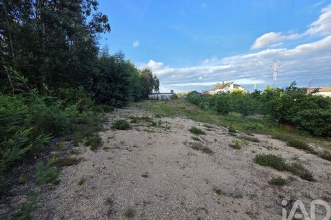 Terra a Santa Comba Dao, Viseu, Santa Comba Dao - € 59.900 | Ref: 923352 - foto 3