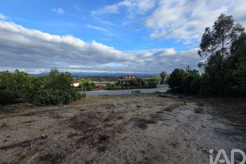 Terra a Santa Comba Dao, Viseu, Santa Comba Dao - € 59.900 | Ref: 923352 - foto 4
