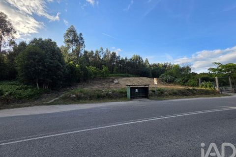 Terra a Santa Comba Dao, Viseu, Santa Comba Dao - € 59.900 | Ref: 923352 - foto 5