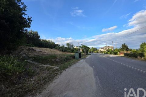 Terra a Santa Comba Dao, Viseu, Santa Comba Dao - € 59.900 | Ref: 923352 - foto 6