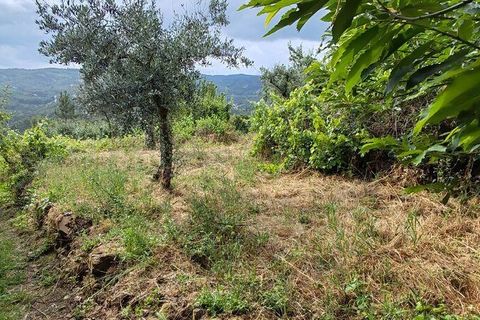 Byhus i Serta, Castelo Branco, Serta - € 18.000 | Ref: 908888 - foto 36