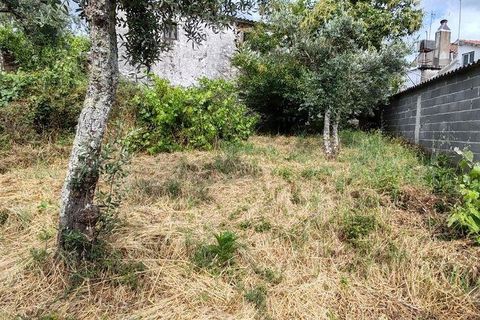 Byhus i Serta, Castelo Branco, Serta - € 18.000 | Ref: 908888 - foto 37