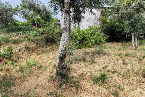 Byhus i Serta, Castelo Branco, Serta - € 18.000 | Ref: 908888 - foto 38