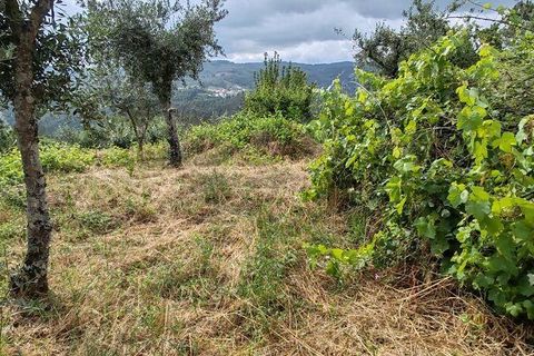 Byhus i Serta, Castelo Branco, Serta - € 18.000 | Ref: 908888 - foto 39