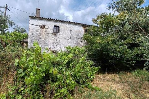 Byhus i Serta, Castelo Branco, Serta - € 18.000 | Ref: 908888 - foto 40