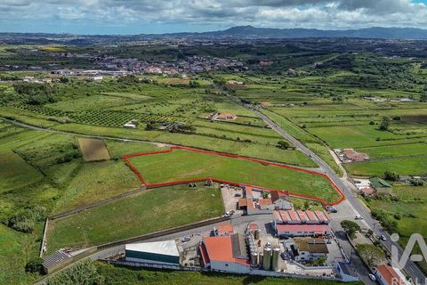 Helårsgrund i Sintra, Lisbon, Sintra - € 500.000 | Ref: 913402 - foto 3