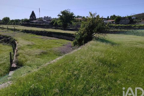 Helårsgrund i Paredes, Porto, Paredes - € 690.000 | Ref: 160545 - foto 5