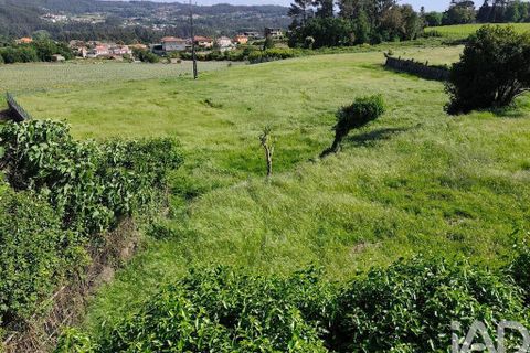 Helårsgrund i Paredes, Porto, Paredes - € 690.000 | Ref: 160545 - foto 6