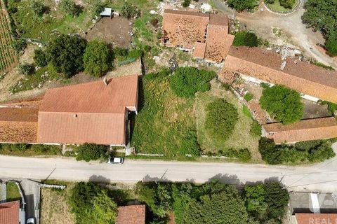 Terra a Rio Maior, Santarem, Rio Maior - € 24.000 | Ref: 885134 - foto 2