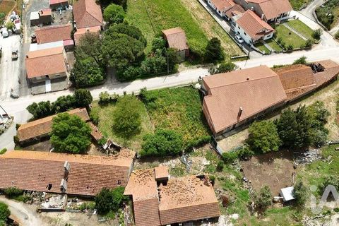 Terra a Rio Maior, Santarem, Rio Maior - € 24.000 | Ref: 885134 - foto 5
