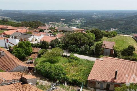 Terra a Rio Maior, Santarem, Rio Maior - € 24.000 | Ref: 885134 - foto 6