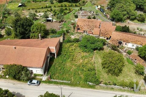 Terra a Rio Maior, Santarem, Rio Maior - € 24.000 | Ref: 885134 - foto 8