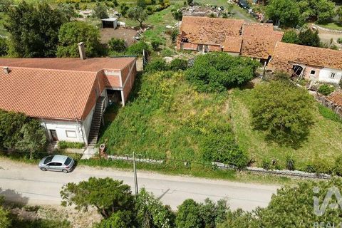 Terra a Rio Maior, Santarem, Rio Maior - € 24.000 | Ref: 885134 - foto 9
