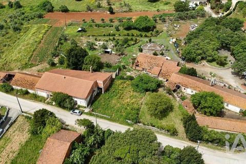 Terra a Rio Maior, Santarem, Rio Maior - € 24.000 | Ref: 885134 - foto 10