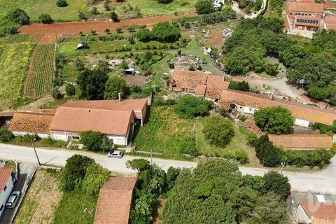 Terra a Rio Maior, Santarem, Rio Maior - € 24.000 | Ref: 885134 - foto 11