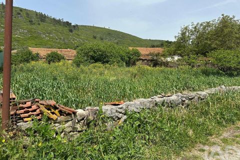 Terra a Rio Maior, Santarem, Rio Maior - € 24.000 | Ref: 885134 - foto 17