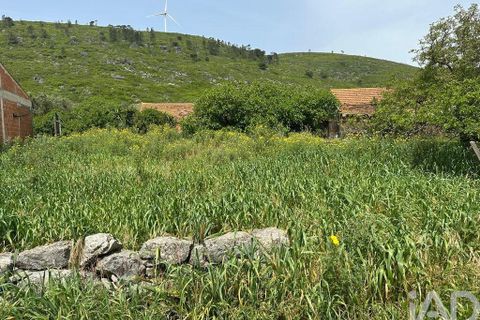 Terra a Rio Maior, Santarem, Rio Maior - € 24.000 | Ref: 885134 - foto 18