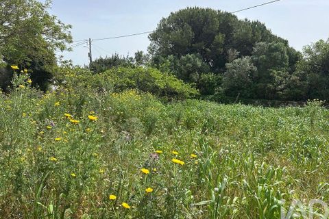 Terra a Rio Maior, Santarem, Rio Maior - € 24.000 | Ref: 885134 - foto 19