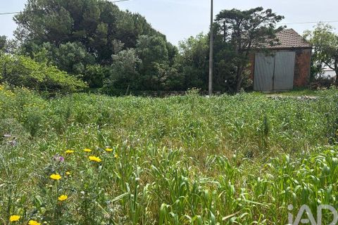 Terra a Rio Maior, Santarem, Rio Maior - € 24.000 | Ref: 885134 - foto 20