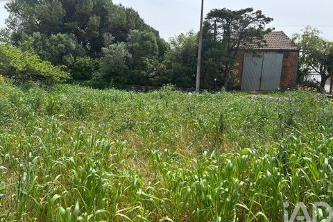 Terra a Rio Maior, Santarem, Rio Maior - € 24.000 | Ref: 885134 - foto 21