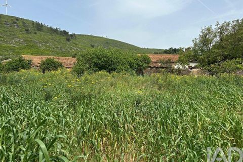 Terra a Rio Maior, Santarem, Rio Maior - € 24.000 | Ref: 885134 - foto 22