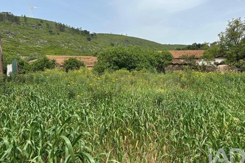 Terra a Rio Maior, Santarem, Rio Maior - € 24.000 | Ref: 885134 - foto 23