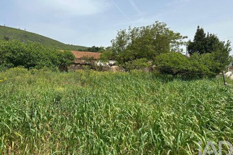 Terra a Rio Maior, Santarem, Rio Maior - € 24.000 | Ref: 885134 - foto 24