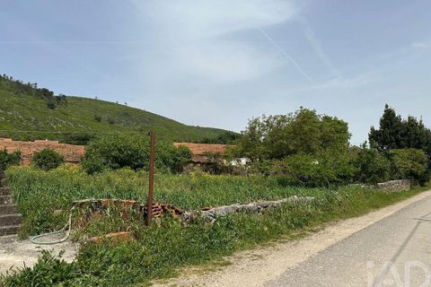 Terra a Rio Maior, Santarem, Rio Maior - € 24.000 | Ref: 885134 - foto 26