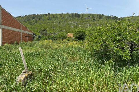Terra a Rio Maior, Santarem, Rio Maior - € 24.000 | Ref: 885134 - foto 27