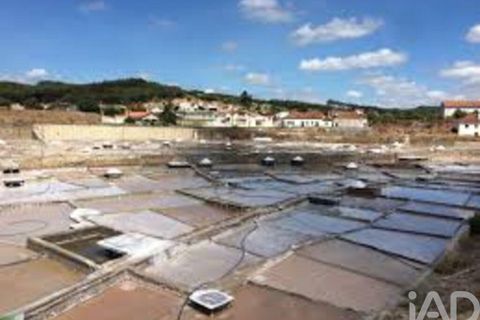 Terra a Rio Maior, Santarem, Rio Maior - € 24.000 | Ref: 885134 - foto 31