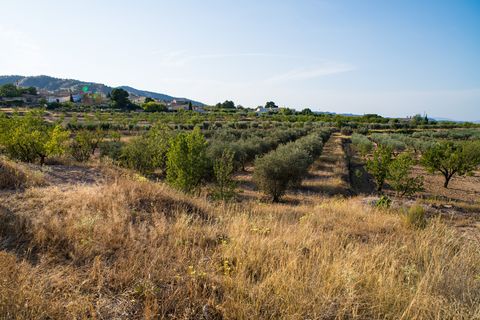 Byhus i Yecla, Murcia, Yecla - € 56.500 | Ref: FOX-R121 - foto 35