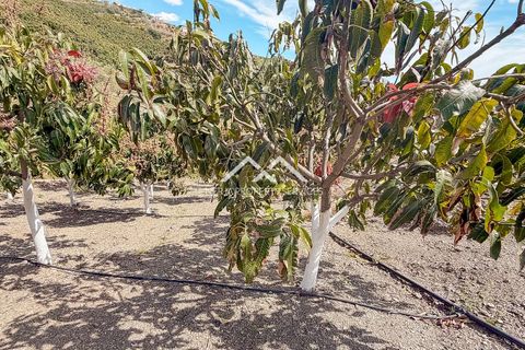 Grond in Frigiliana, Malaga - foto 4