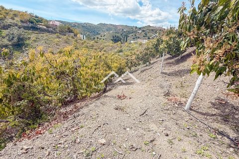 Grond in Frigiliana, Malaga - foto 5
