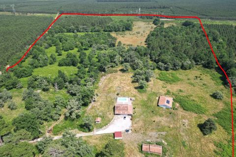 Villa i Pissos, Landes, Pissos - € 900.000 | Ref: es5555060 - foto 3