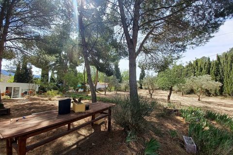 Villa i Sax, Alicante, Sax - € 339.995 | Ref: 9030 PT3117 - foto 6
