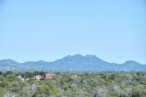 Leilighet i Cala Figuera, Mallorca, Cala Figuera - € 355 000 | Ref: 8058 - foto 19