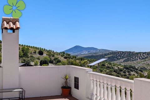Villa a Velez-Rubio, Almeria, Velez-Rubio - € 349.000 | Ref: CRE-2714 - foto 21
