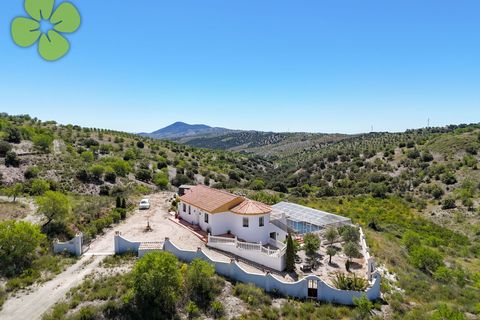 Villa a Velez-Rubio, Almeria, Velez-Rubio - € 349.000 | Ref: CRE-2714 - foto 30