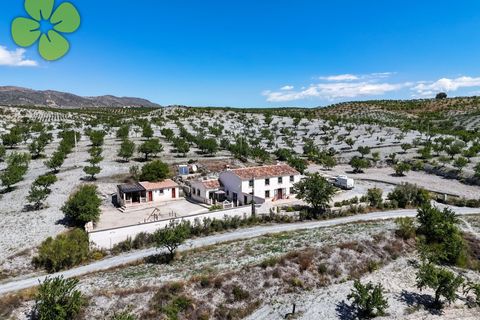 Landejendom i Albox, Almeria, Albox - € 249.995 | Ref: CRE-2706 - foto 1